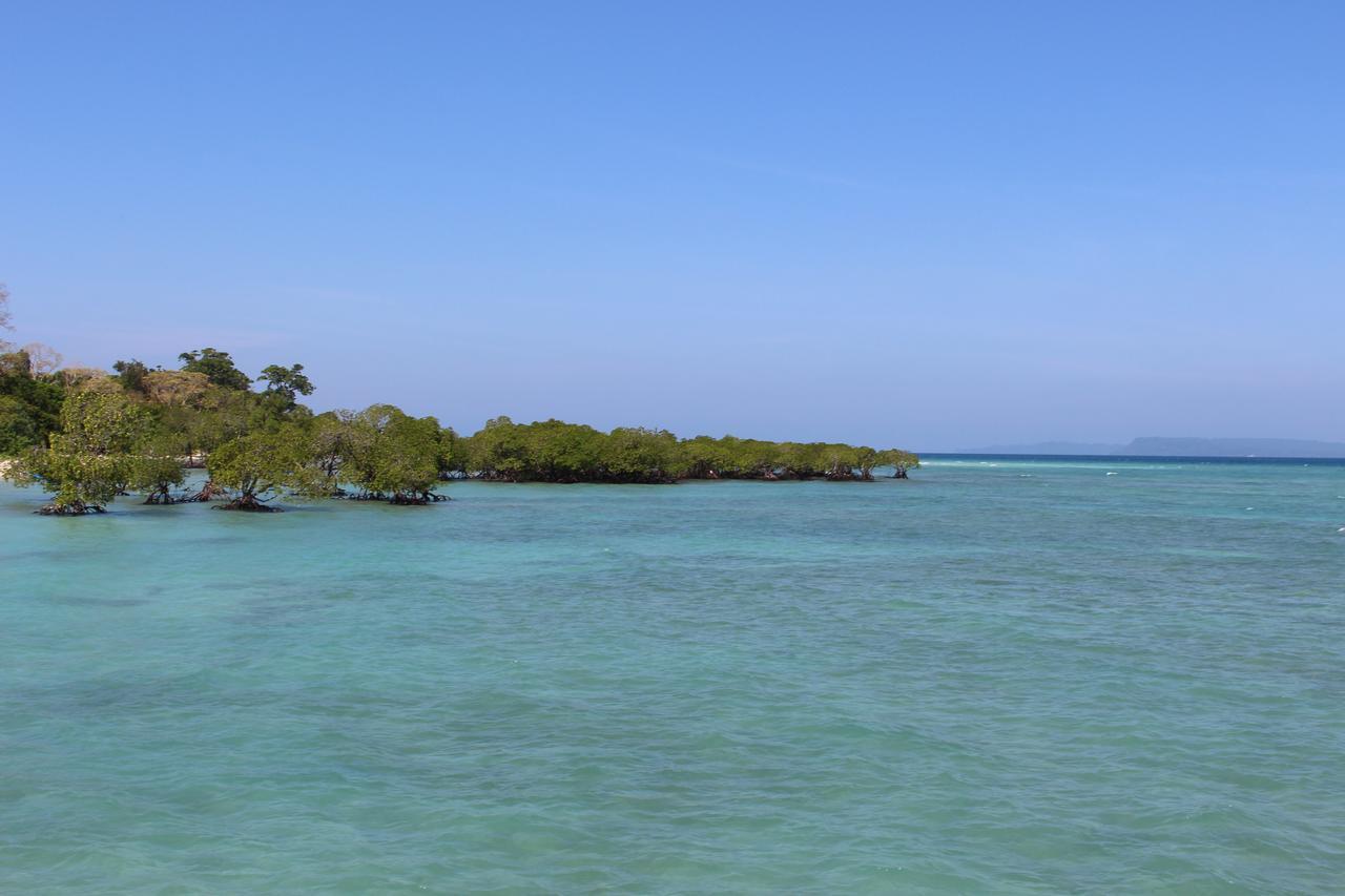 Silver Sand Beach Resort Neil Lakshmanpur Exterior foto